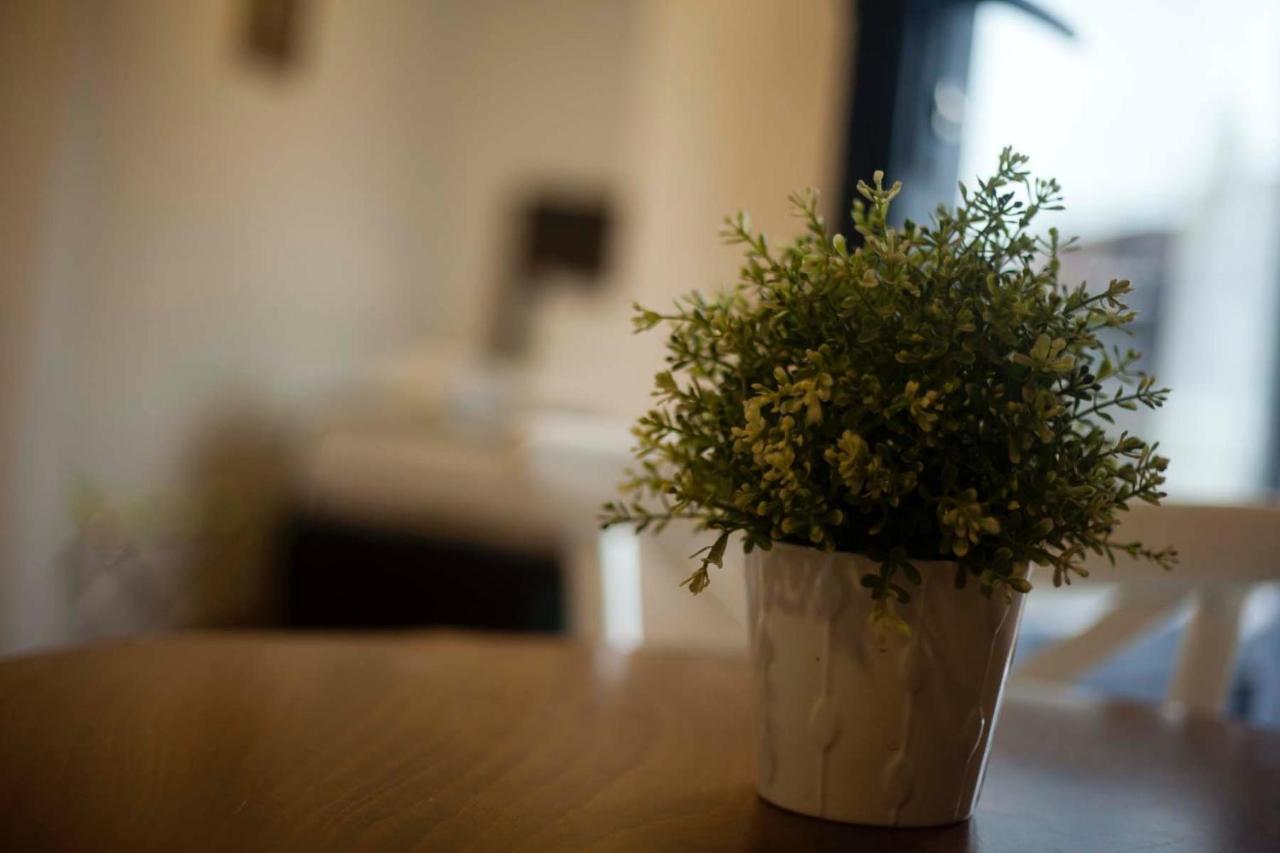 Galata Cicek Suites Istanbul Exterior photo